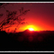 Sunset Phoenix