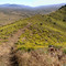 Mountain Pano Top