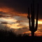 Desert monsoon sunset