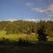 Farm: