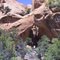 South Draw Arch
