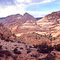 Sheets Draw Side Canyons