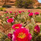 Courthouse Wash