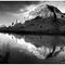 Colorado Reflections
