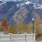 Sitting on the edge of fall, looking into winter.