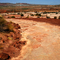 Arches Dinosaur Tracks