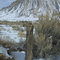 Don't fence me in . . . January, 2009