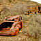 Sego Utah