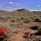 Mountain Bike Trail, McCoy Flat