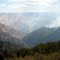 Big Canyon Fire 2004, thick timber