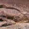 Rock Creek petroglyph panel
