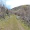 Above Yellow Fork