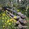 Trail Fense