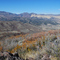view towards copper mine from N40 28.015 W112 02.350
