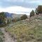 Butterfield Canyon