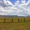 Field Panorama
