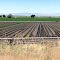 Farm land