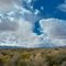 High desert brush and a bold sky. Photo taken north of Parowan, Utah