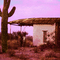 Passed by The Future-s Az