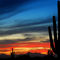 Dove Mountain 4
