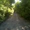 Wooded part Of Freemont Trail 02