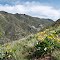 Lower part of trail to Grandeur Peak