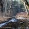 Along the White Trail in Mason Park/Trout Brook Conservation Area