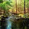 Trout Brook