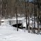 Along Mill Street, Winter