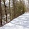 Mass Central Rail Trail along the Quinapoxet River