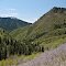 Mill Creek Canyon, Church Fork