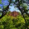 Neffs Canyon