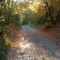 Green Canyon Road, Cache County, Utah, Sept 2008, 1
