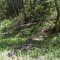 Green Canyon North Logan Utah UT
