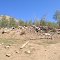 Ferry Springs overgrazing