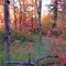 Smithfield's Dry Canyon in Fall