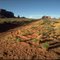Monument Valley in the late light