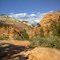 Zion National Park