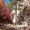 Fall Colours in Lick Wash