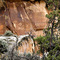 Dry Fork Petroglyphs - Near Vernal, Utah