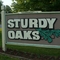 Sturdy Oaks
