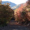 Autumn Sunset in Settlement Canyon