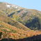 Left Hand Fork of Settlement Canyon