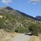 Soldier Canyon Afternoon