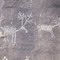 Peter's Leap Petroglyph's