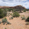 Prostitute Butte