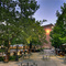 A. Ray Olpin University Union