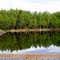 Jewel Lake dock