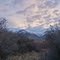 Dawn in some remnant woods near Farmington, Utah