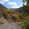 Lion Hill ATV Trail Fall Colors